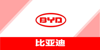 比亞迪(BYD)驗廠